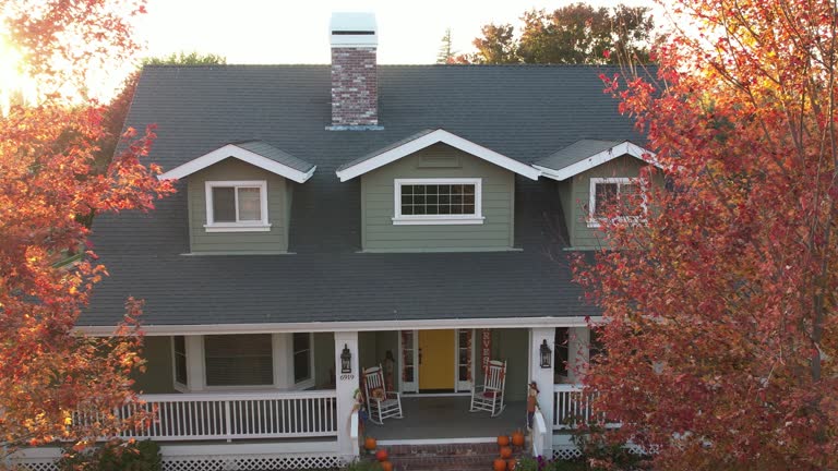 Roof Moss and Algae Removal in Frederick, CO